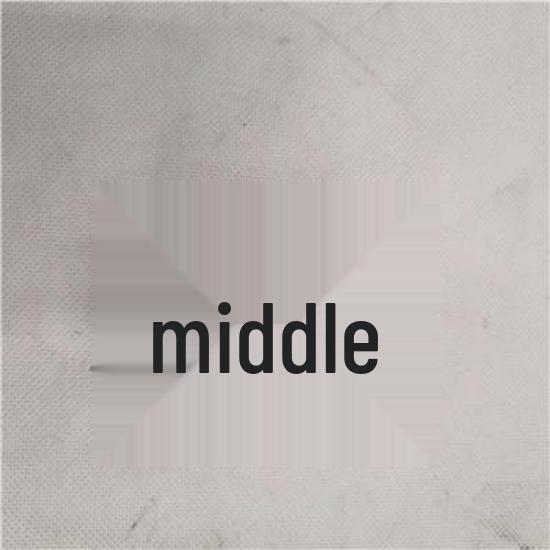 Applicable Foton Accessory Idler Pulley 2PV10002041