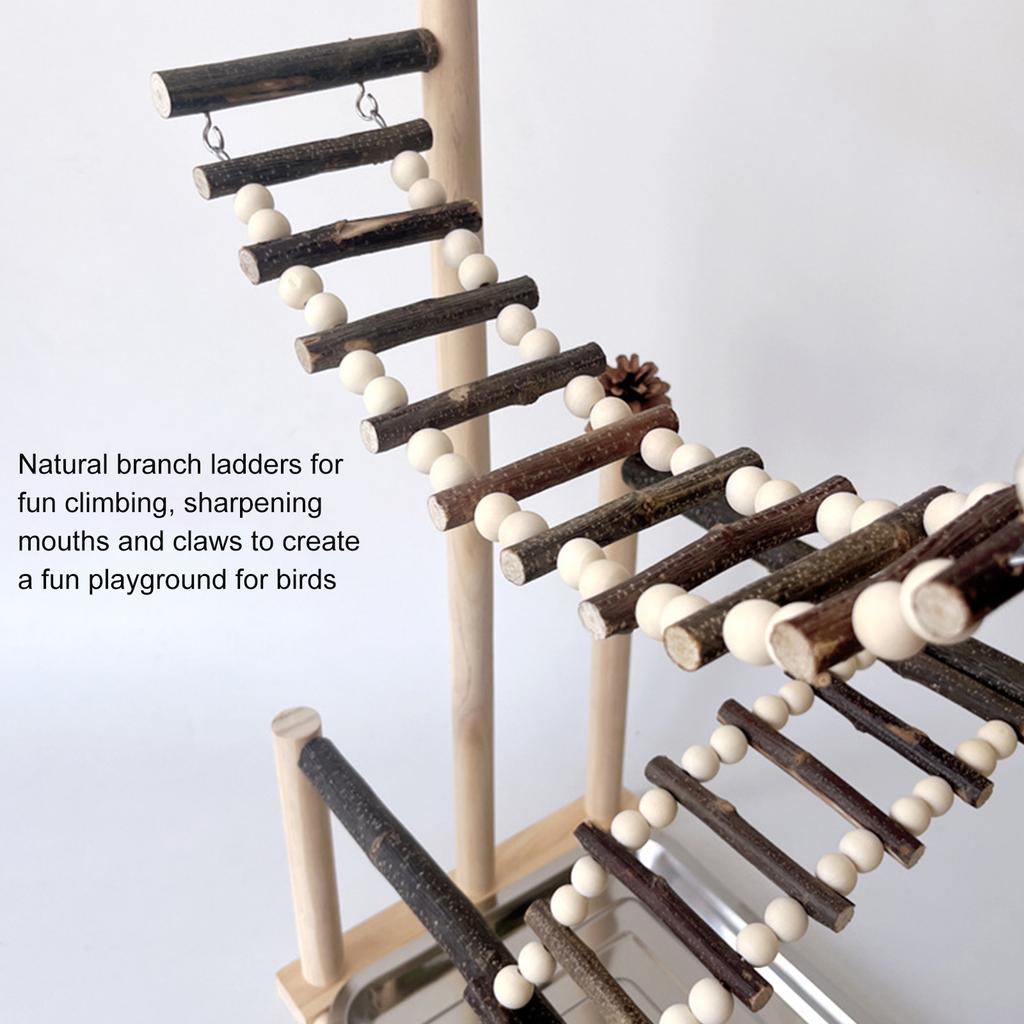 Sturdy Natural Wood Parrot Training Stand With Removable Tray Climbing Ladder Rotating Perch For Large Birds Exercise And Play