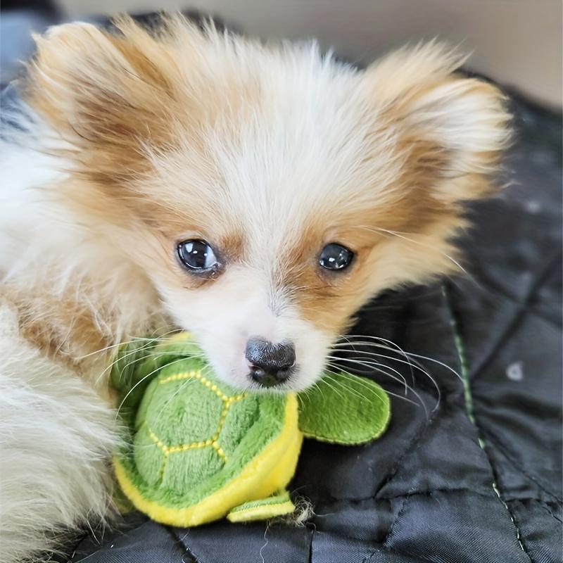 Jucărie de pluș durabilă cu design de broască țestoasă pentru ros dinții animalului de companie - Jucărie interactivă perfectă pentru câinele tău!