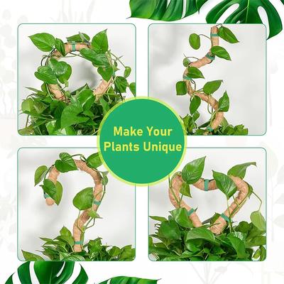Plant Support Climbing Stakes Bendable Extension Hemp Rope Bottom Climbing Bracket Gardening Cocoanut Stick Plant Garden Decor