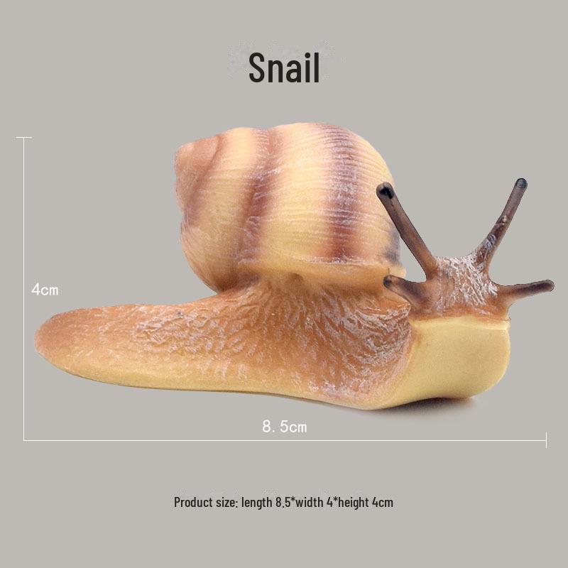 

Образовательная модель для детей «Цикл роста улитки» - Игрушка-бонсай из твердых насекомых