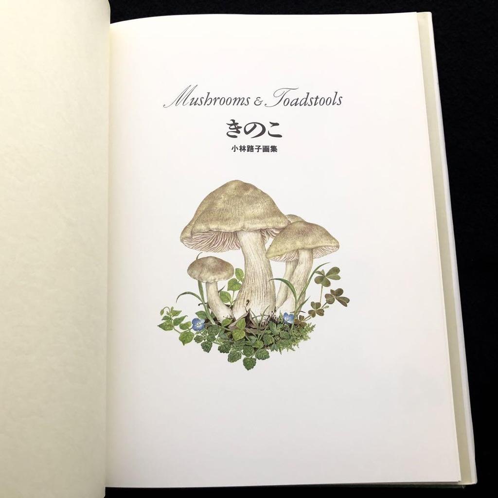 [USED] Michiko Kobayashi Art Collection "Mushrooms" 1993 First Edition Yama-to-Keikoku-sha