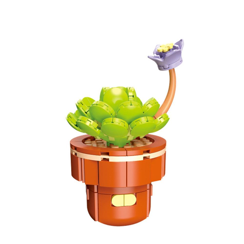 Urban area High-Quality Creativity High-Quality Bouquet High-Quality Eternal High-Quality Flower High-Quality Succulents High-Quality Plant
