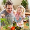 1 Stück Fischversteck Schutz 3-in-1 Hängematte Futterring & Ruheplatz für Betta Kleine Wassertiere Aquarium Schwimmende Höhle