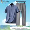 Men's Ice Silk Polo Shirt & Casual Pants Set