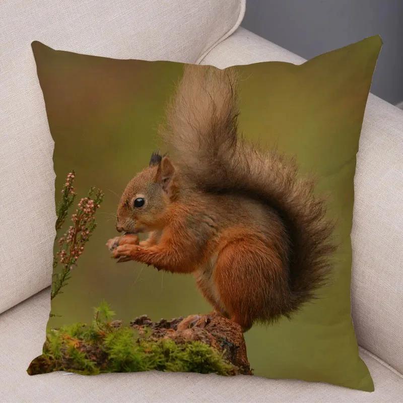Cute Squirrel Cushion Cover Pillowcase Pillow Covers Home Decor Pet Animal Pillows Case Super Soft Polyester Pillows Covers