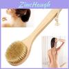 Escova Corporal de Madeira Natural com Cerdas Elegante Perfeita Para Spa e Banho
