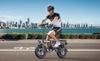 E-Bike TOOFLY GE5 Faltbares Elektrofahrrad 250W 48V15AH Lithiumbatterie Erwachsenen-Fahrrad Elektrofahrrad 14-Zoll-Reifen Urbanes Pendlerfahrrad