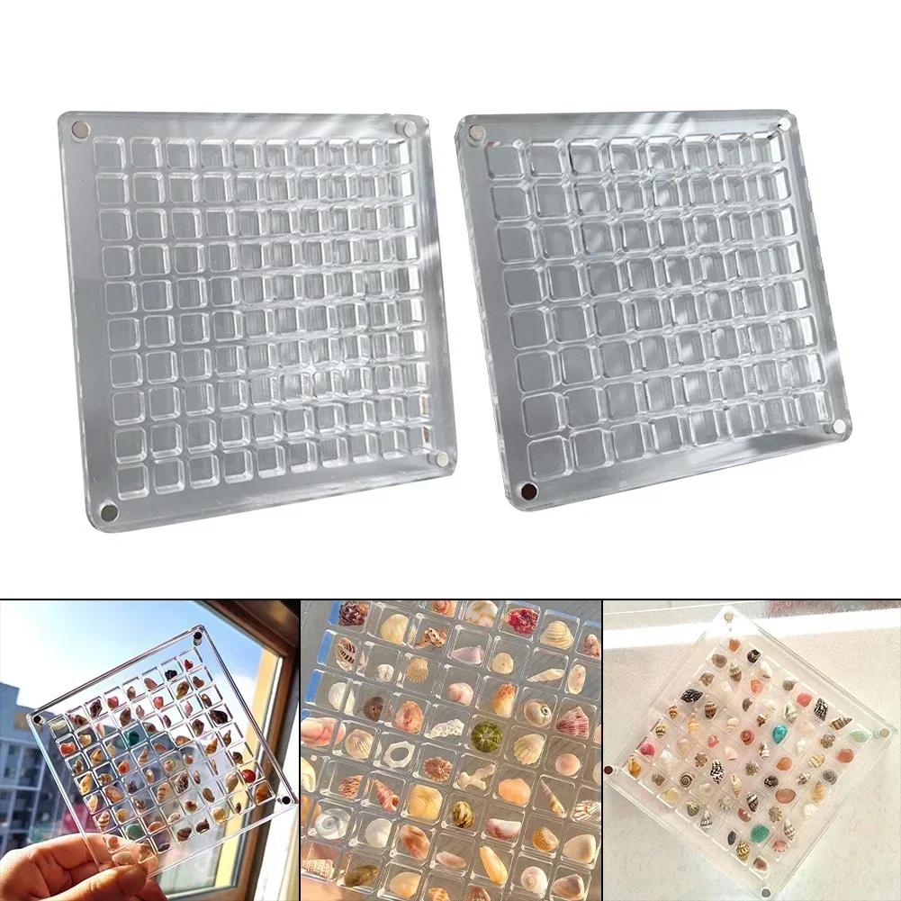 36/64/100 Shells Acrylic Clear Magnetic Storage Box Seashell Display Showcase Mini Jewelry Display Case Organizer