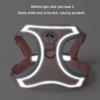 Reflective Vest-Style Harness with Leash for Small Dogs