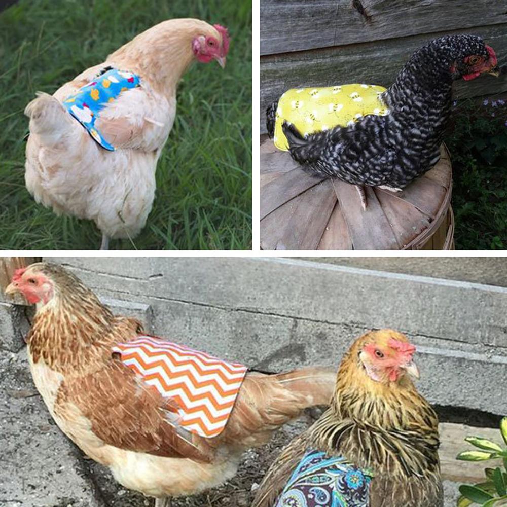 hen clothing