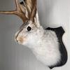Bedroom Sculpture Bunny Head Antlers Wall Hanging Decoration Crafts Furry Rabbit  Animal Wall Mount Pendant Easter Decoration