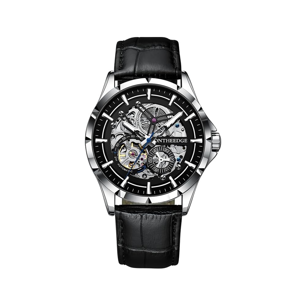 RZY Men s Tourbillon Automatic Skeleton Watch 30M Waterproof Luminous Stainless Steel Band
