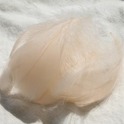 100 Stück 5-8 cm kleine flauschige Gänsefedern, farbig gefärbte Schwanenfedern für DIY Karnevalsparty-Dekoration, Bastelzubehör