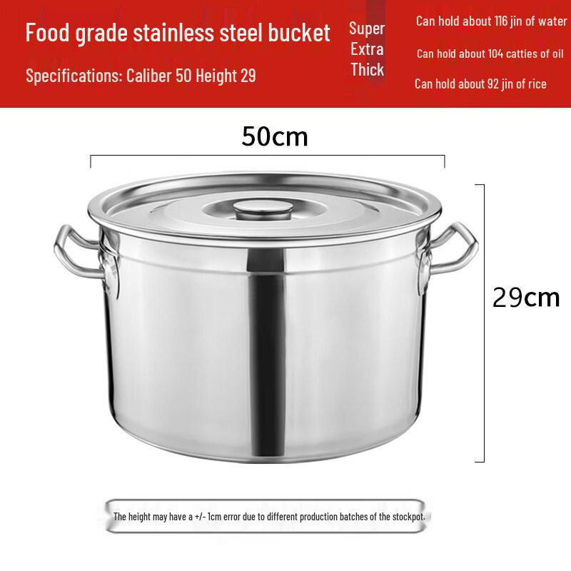 JPHZNB Heavy-Duty Stainless Steel Multi-Purpose Pot with Lid