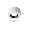 Oeny 12W LED Surface Mounted Downlight
