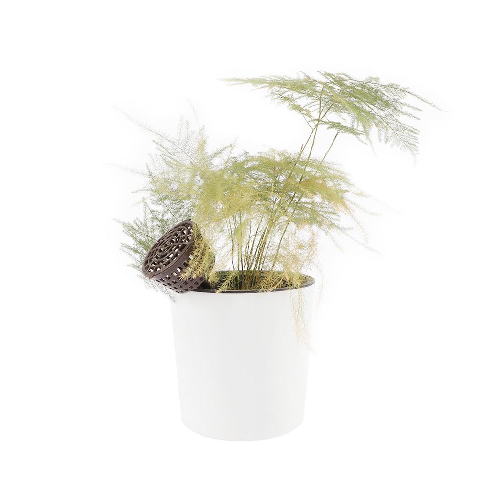 10 Pcs Case Plants Basket Nursery Pots Fertilizer Box Bonsai Tool Fertilizer Cover