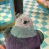 30/20/14cm 1Pc Pet Companion Toy Ornaments Parrot Fat Pigeon Bird Plush Doll Toy Christmas Birthday Girl Gift