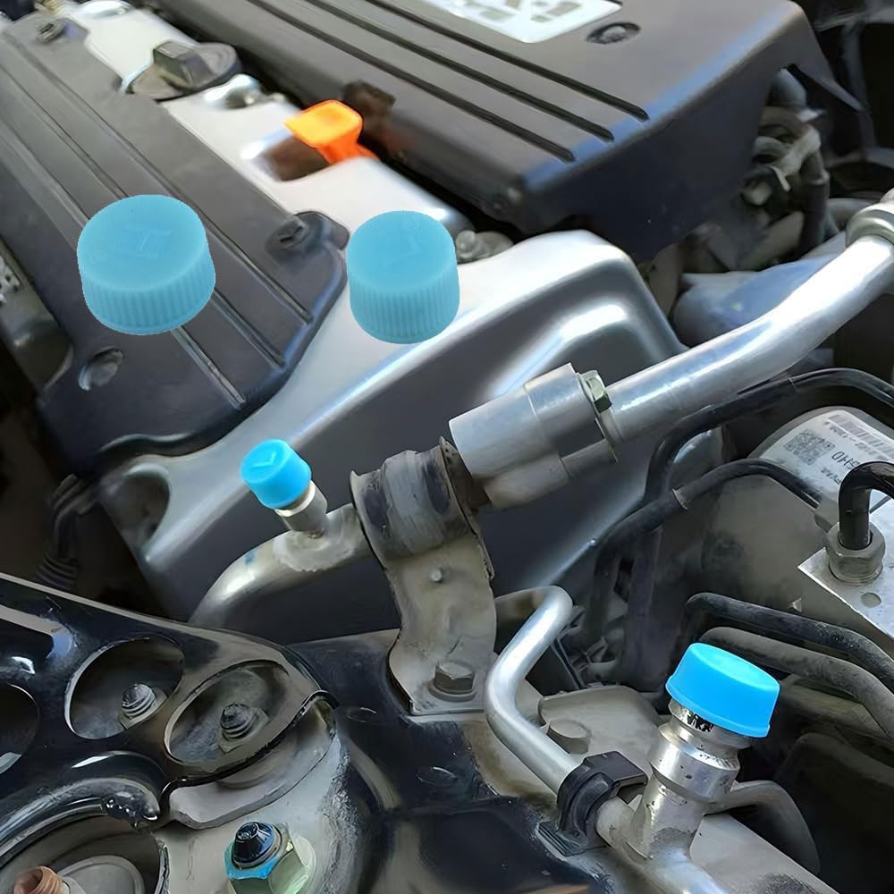 30pcs Air Conditioner Valve Cover Car Cover AC Valve Cover Car Air Conditioner