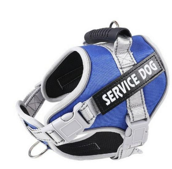 Reflektierende Atmungsaktive Hundeleine & Geschirr - Explosionsgeschütztes Design