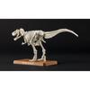 Bandai Spirits  Bandai Spirits  Planosaurus Tyrannosaurus Color Coded Plastic Model