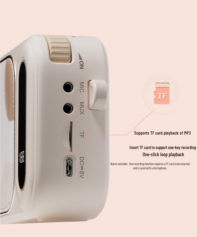 Portable Wireless Bluetooth Loudspeaker & Microphone for Teaching, Tours, and Promotions - Little Bee Megaphone