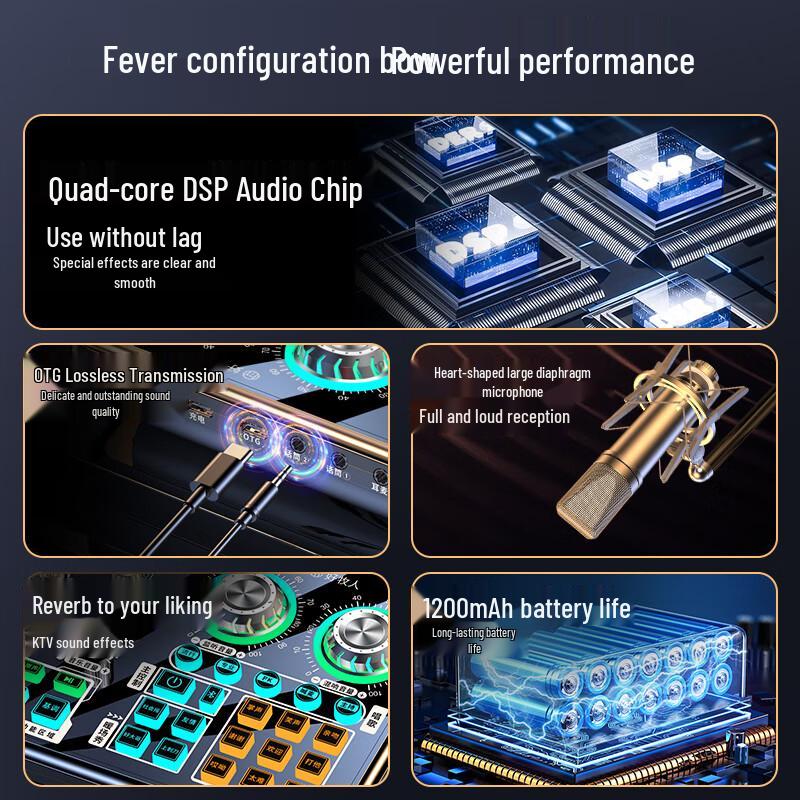Professional Live Stream Sound Card & Microphone Set