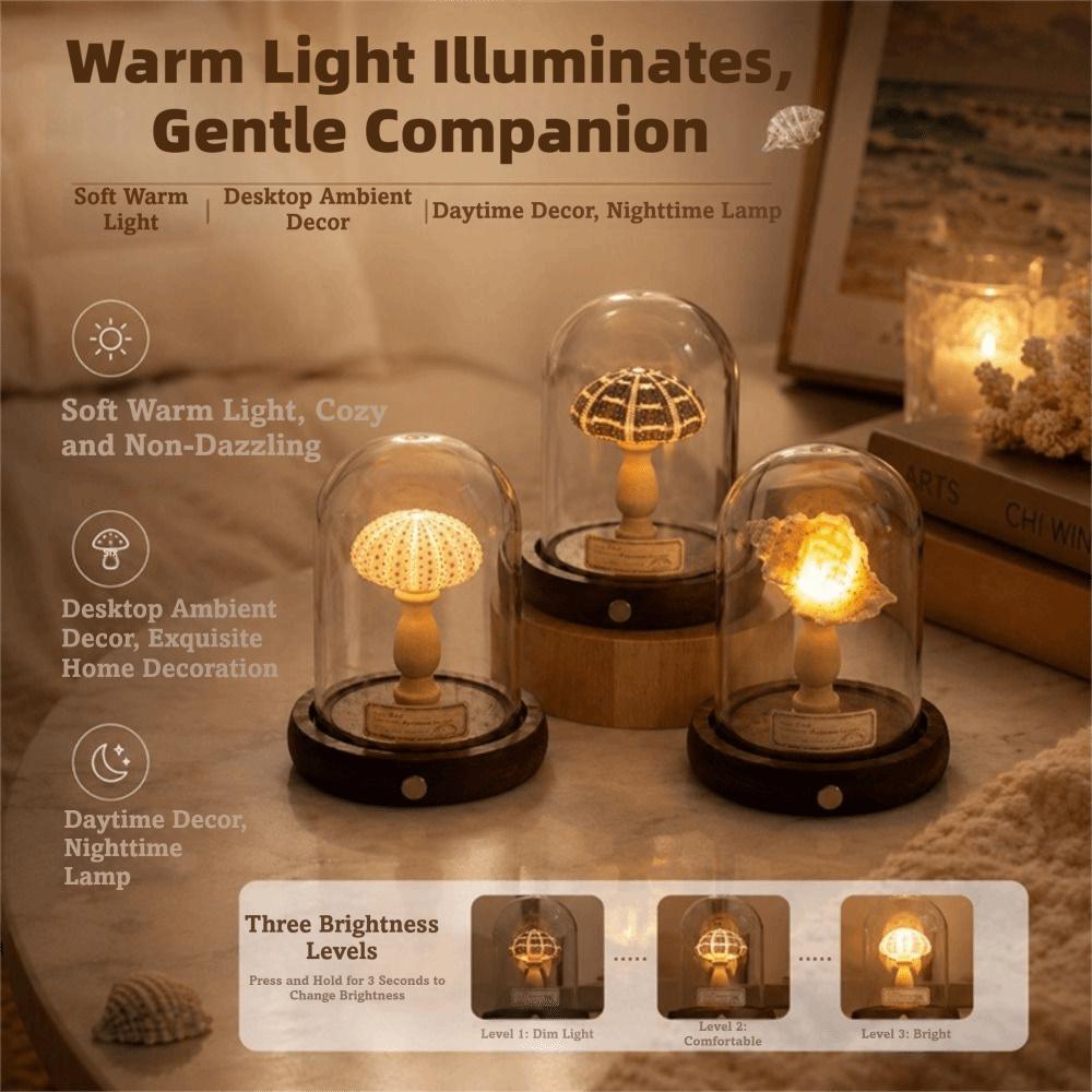 Flicker Free Shell Lamp Soft Lighting Mini LED Lamp Vintage Style Desk Lamp Holiday Gift