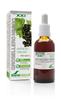 Soria Extracto Grosellero Negro S Xxi 50ml