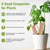 Self Watering Spikes 4 Pieces Plant Watering Spikes Automatic Terracotta Planter Drip Irrigation System For Houseplants