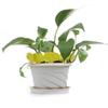100PCS Writable Plant Gardening Flower Label Plant Label Tree Meaty Label