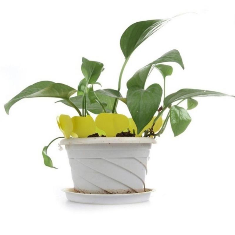 100PCS Writable Plant Gardening Flower Label Plant Label Tree Meaty Label