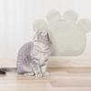 Kedi – Kedi Eğitim Aparatları