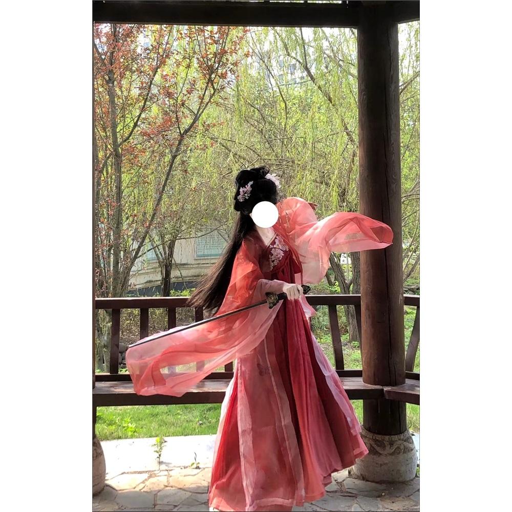 Rochie HE ZI în stil chinezesc din dinastia Tang Costum pentru femei Hanfu Costum zilnic brodat