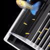 Acrylic Fish Breeding Box for Hatchery and Isolation for Aquariums Breeding Box Double Layer