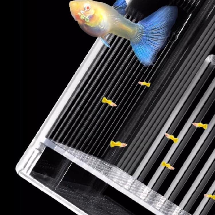 Acrylic Fish Breeding Box for Hatchery and Isolation for Aquariums Breeding Box Double Layer