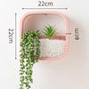 DIY Decorative Plant Hanger Flower Pot Wall Hanging Succulent Planter Vase Vertical Flower Pots Garden Haning Planter Home Decor