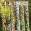 Šití a ruční práce – Scrapbooking