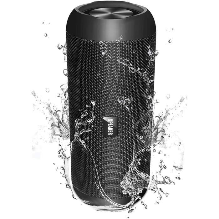 Enceinte Bluetooth Portable 30W Haut Parleur Bluetooth 5.0 Pilote Double avec Fonction HD Stéréo