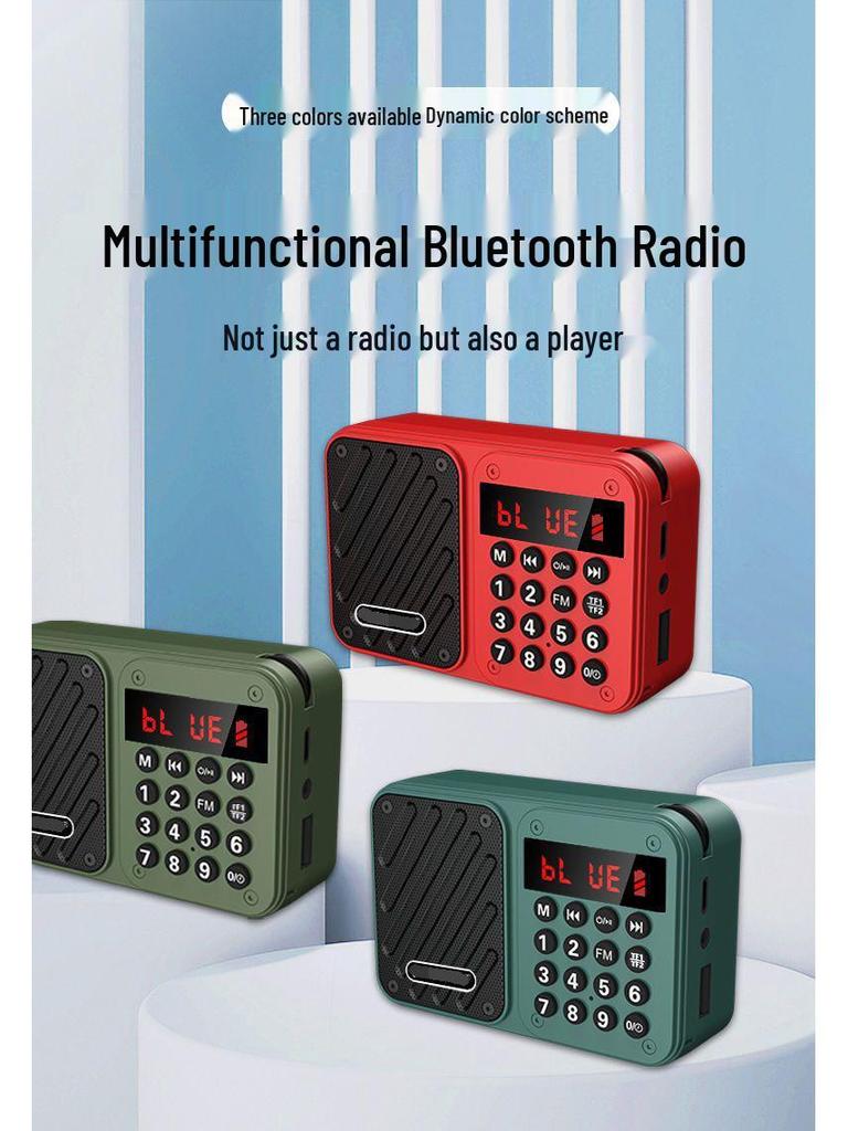 Jinzheng S61 Portable FM Radio & Speaker with Card-Playing Function for High Volume Audio