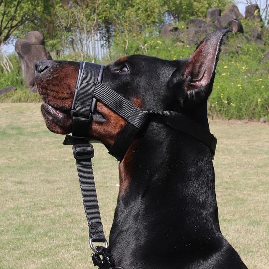 No-Pull Dog Head Collar Adjustable Dog Head Halter with Padded Nose