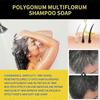 1-3pcs Natural Herbal Instant Black Hair Dye Shampoo For White Hair Coloring
