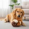 Hund Plüsch Quietschspielzeug: Faltbares - Futterausgebendes Interaktives Kauspielzeug für Zahnreinigung & Mentale Stimulation