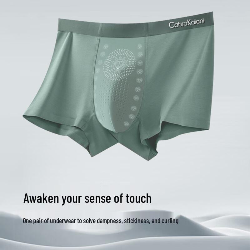 CabraKalani Men's Ice Silk Boxer Briefs 4-Pack