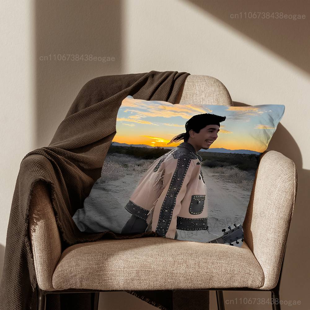 L-Ivan Cornejo-S Singer Throw Pillow Case For 45x45cm,55x55cm,30x30cm For Home Bedroom Decoration And Protector