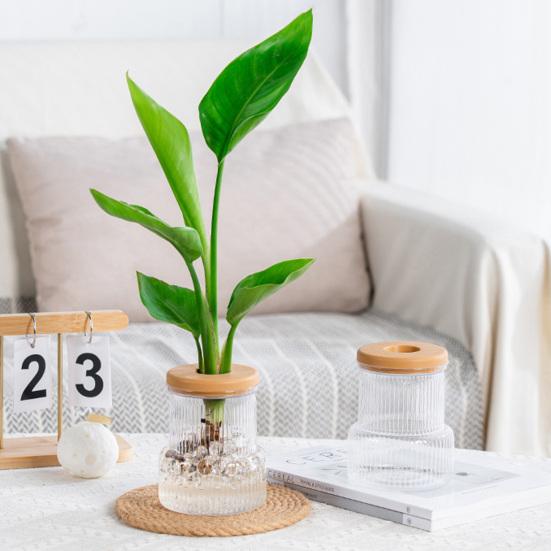 Self-Watering Planter Imitation Glass Vase Hydroponic Plant Pot Transparent Water Storage Tank Mini Desktop Planter for Home Office Decor