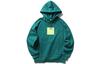 Sweatshirts Men's Hooded Moderate Regular AWDP767-4