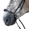 Whitaker Pick N Mix Leather Horse Drop Noseband