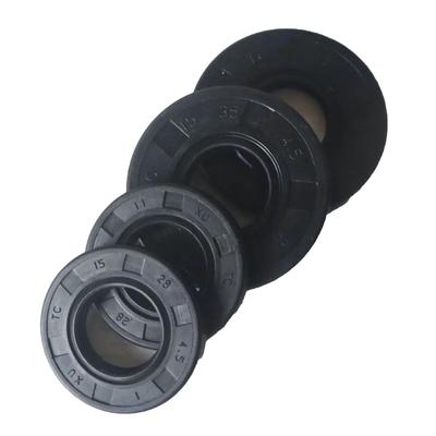 Paraolio Professionale Tipo Tc Nbr per Albero Nitrile Rivestito Doppio Labbro con Molla a Spirale Parte in Plastica di Qualità Componente per Motosega