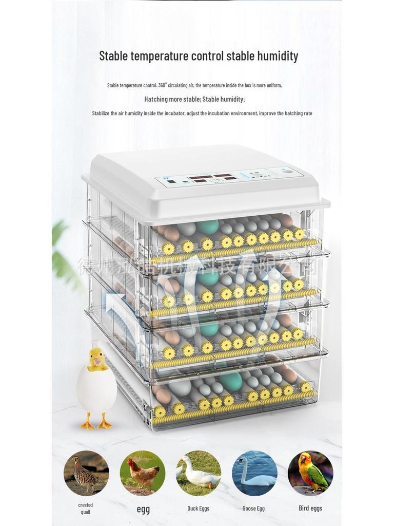 Automatic Mini Egg Incubator: Intelligent Temperature Control for 6-176 Eggs